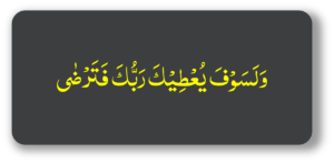 ولسوف یعطیک ربک فترضٰی