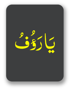 یارؤف