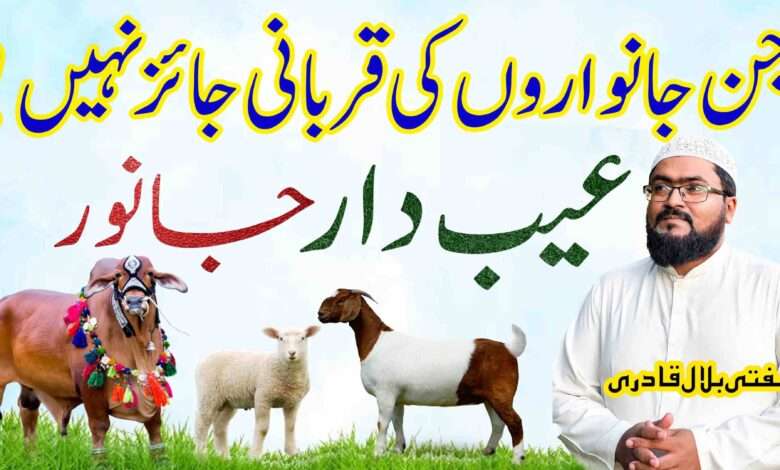 Qurbani kin Janwaron Ki Jaiz he