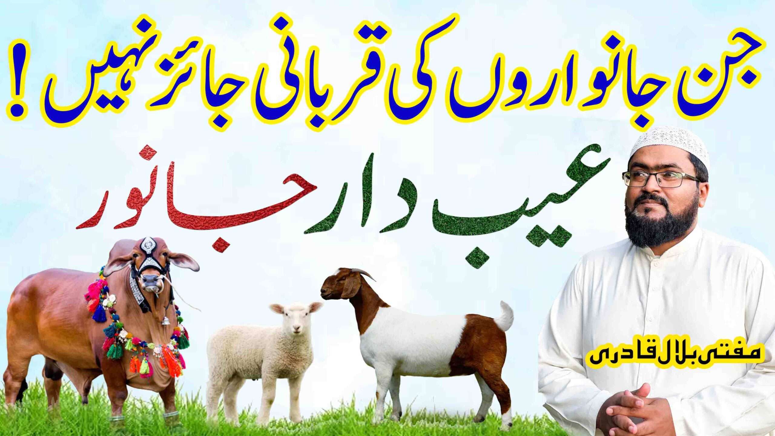 Qurbani kin Janwaron Ki Jaiz he