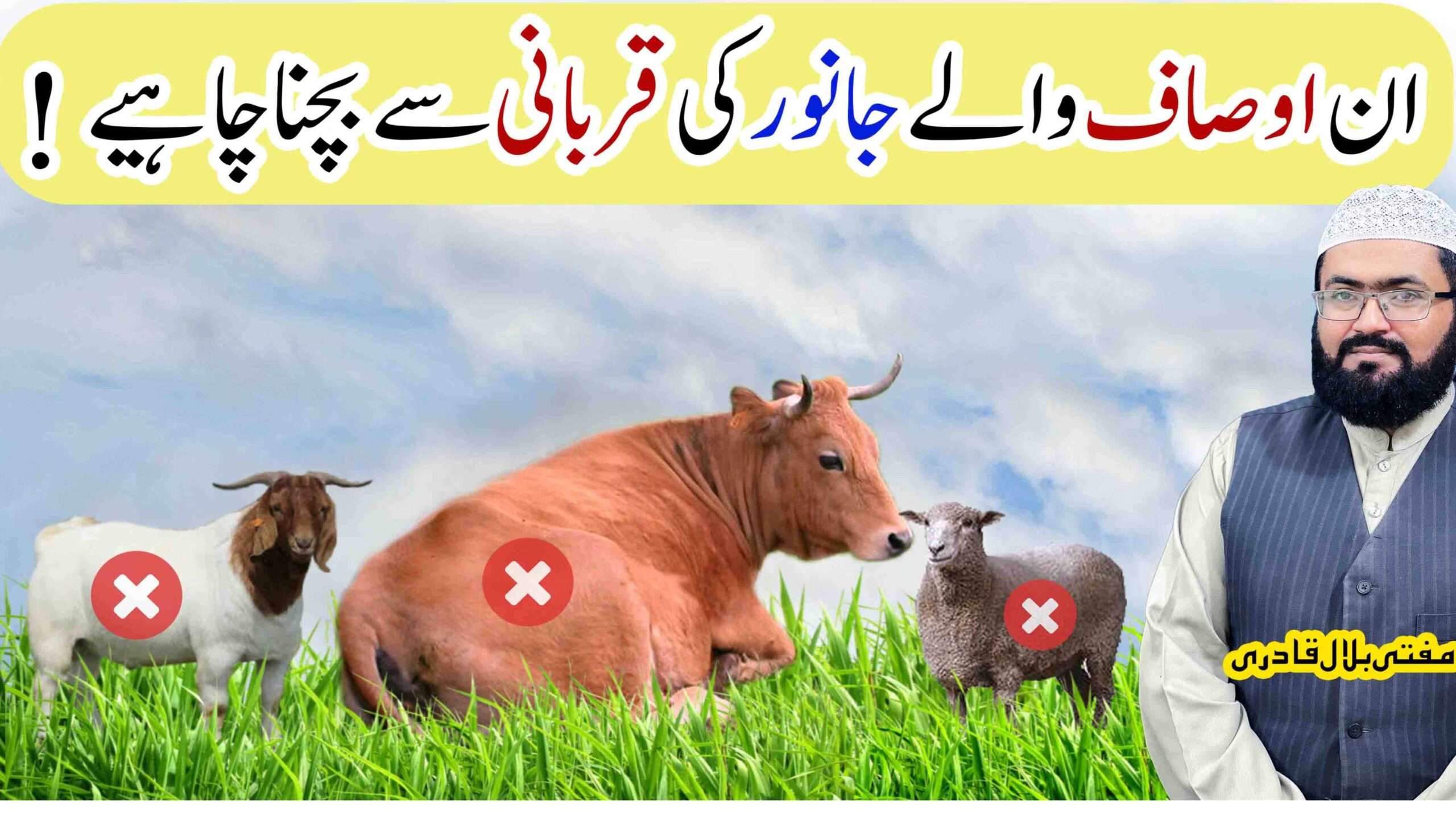 ان اوصاف والے جانوروں کی قربانی سے بچنا چاہیئے