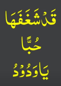 قدشغفھا حبا یاودود