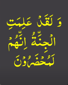 ولقد علمت الجنتہ