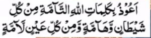 نظربد ، جنات