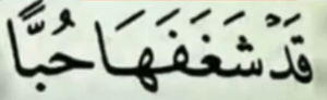 قد شغفھا حبا