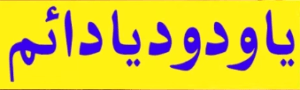 '' یا ودودو یا دائم ''