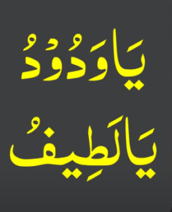 یا ودود یالطیف