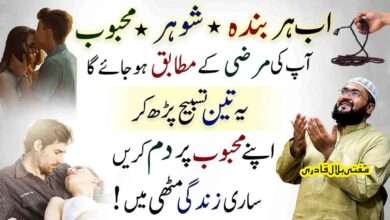 Mehboob saari zindagi muthi mein hoga