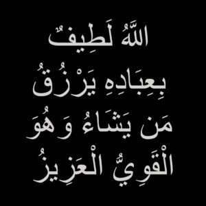 اللَّهُ لَطِيفٌ بِعِبَادِهِ يَرْزُقُ مَن يَشَاءُ وَهُوَ الْقَوِيُّ الْعَزِيزُ