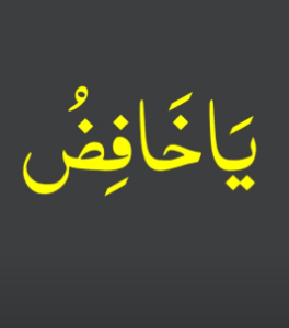 یاخافض