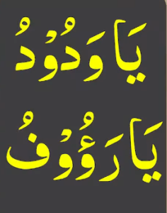 یاودود یارؤوف