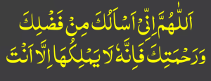 اللھم انی اسالک من فضلک ورحمتک فانہ لا یملکھا الا انت