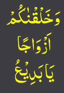 وخلقنکم ازواجا یابدیع