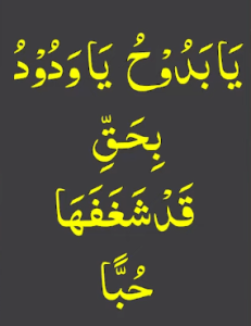 یابدوح یاودود بحق قدشغفھا حبا