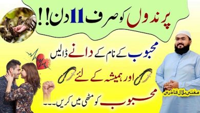 11dinoun mai mehboob ko apna banane ka wazifa