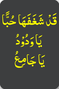 قدشغفھا حبا یاودود یاجامع