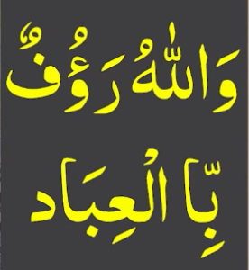 واللہ رؤف باالعباد