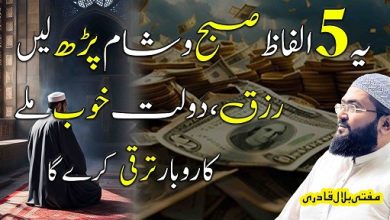 Qarobar mai taraqi ka amal