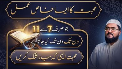 Muhabbat ka sab sy behtreen amal