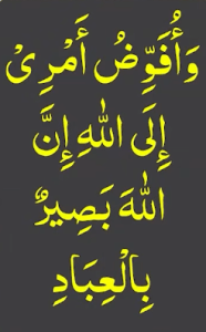 وافوض امری الی اللہ ان اللہ بصیر بالعباد