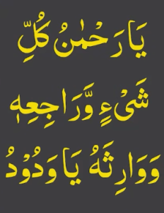 یارحمٰن کل شیء وراجعہ ووارثہ یاودود
